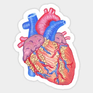 I Heart You Anatomical Heart Sticker